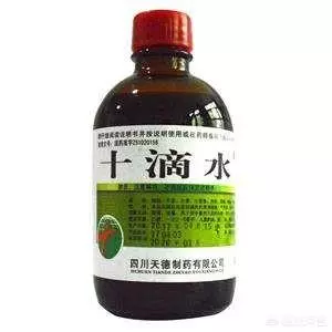 青菜總是生蟲子,有不用農藥就能殺蟲的辦法嗎?