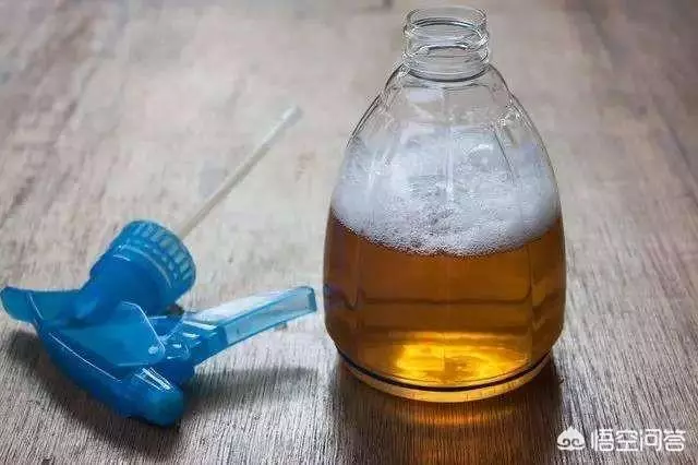 青菜總是生蟲子,有不用農藥就能殺蟲的辦法嗎?