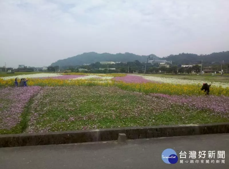 大溪花彩節 11/25對外開放