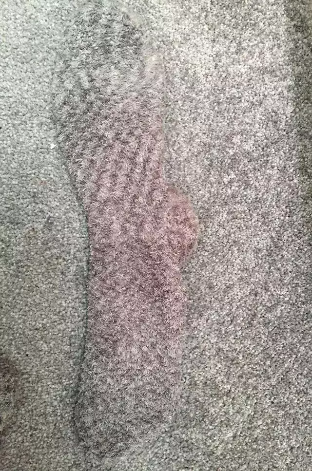 我的雙眼比鷹還銳利,但還是被這組照片騙了!