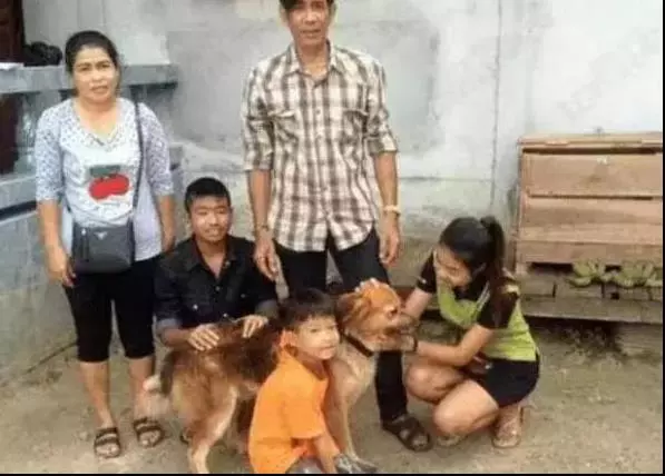 狗狗貪玩與主人走散,風雨中傻傻在原地等一年,直到看見主人熟悉身影!