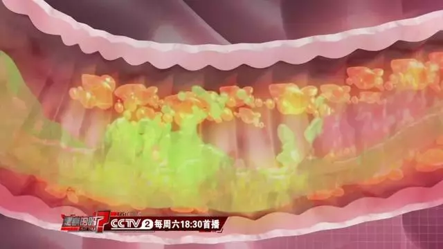 喝茶能刮油?這麼多年你都喝錯了