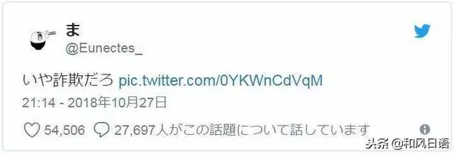 日本某店菜單上的米飯跟實物相差太大,端上來之後讓人驚呆了……