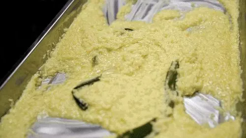 與全世界雞為敵的店,只做95天