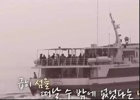 狗狗任憑風吹雨打,每天堅持守候在海邊,這一切背後都是為等老主人!