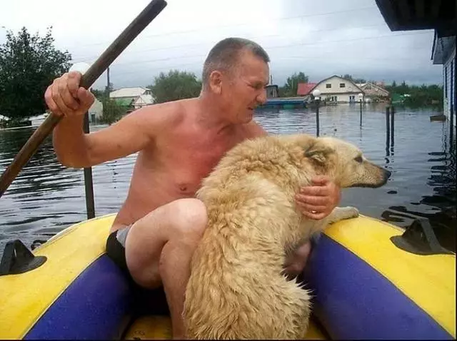 狗狗與主人逃難後偷偷溜回家,只為守護被水淹的家,看到主人來接它高興又幸福!