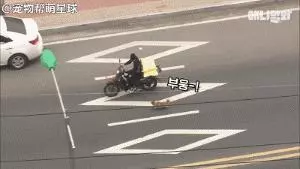 為了復仇,小狗苦等一年多,終於找到機會,結局卻又慘又好笑