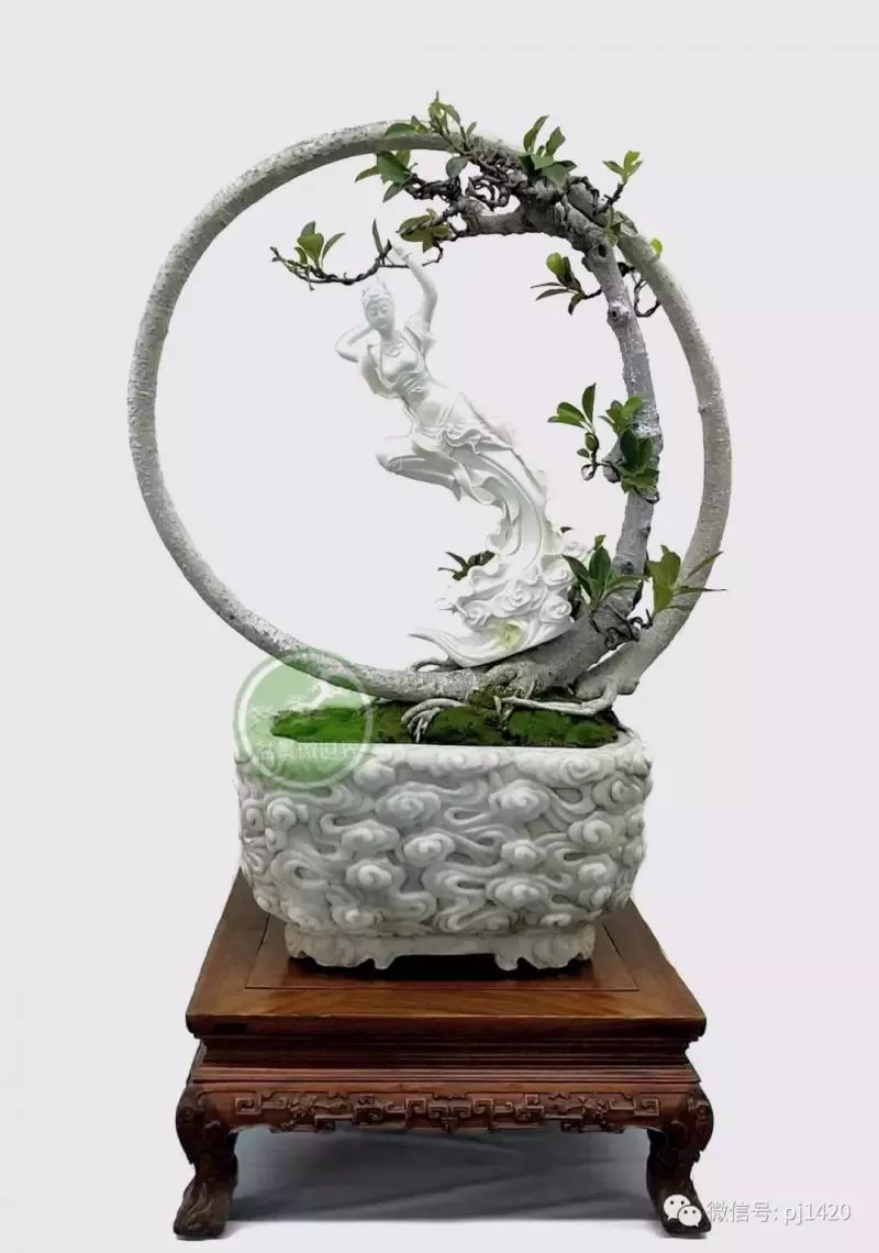 醜樹樁也能成美景!