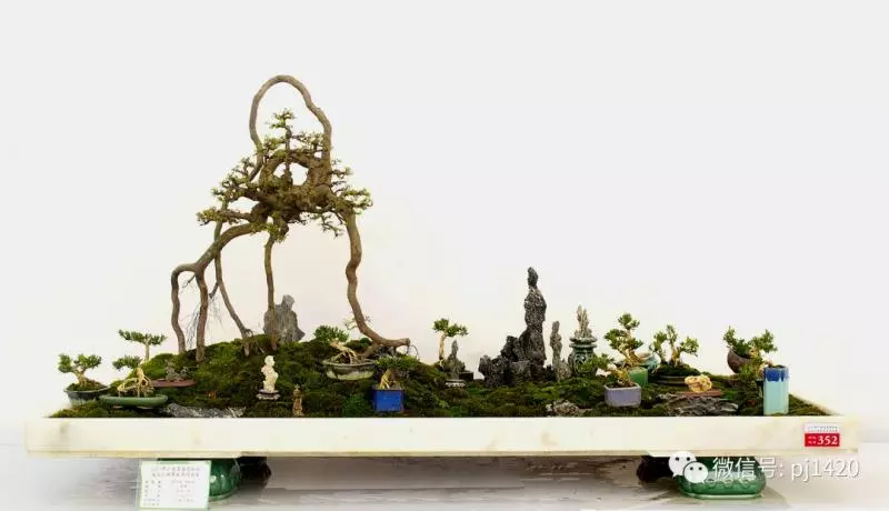醜樹樁也能成美景!