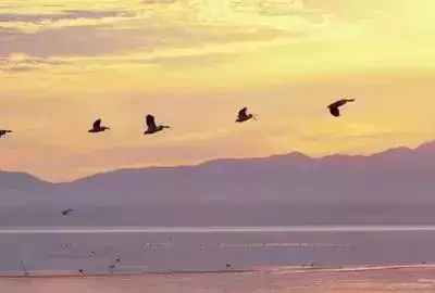 十句話讓你前途無量!