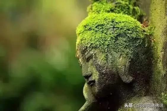 佛說:忍能養福,慈能養心,寬能聚氣