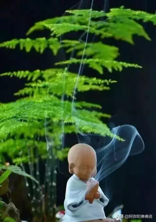 佛說:忍能養福,慈能養心,寬能聚氣