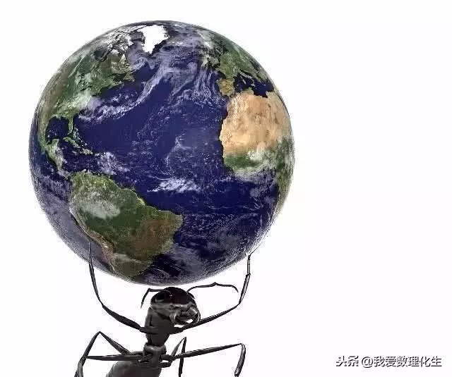 為何說螞蟻是二維生物?原來這隱藏著一個空間的秘密,答案很顛覆