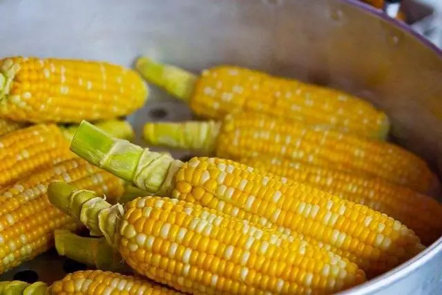 糖尿病人經常食用玉米渣,對降血糖有好處嗎?看看養生專家的解釋