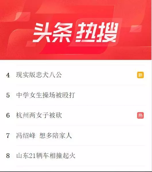 忠犬在路中央等待80天,可主人早已離開人間,狗狗:餘生等你