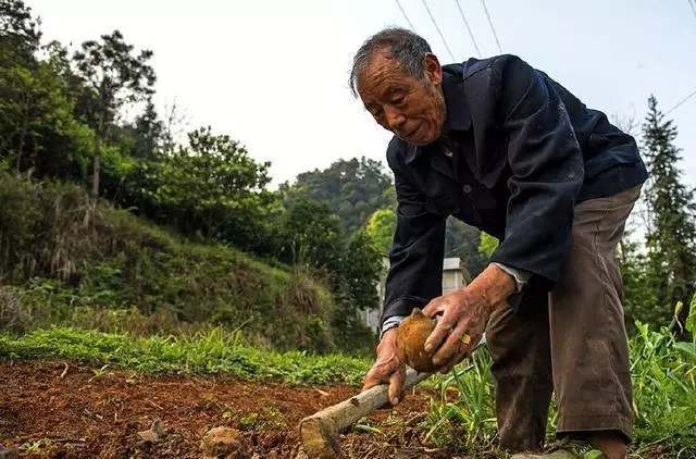 娘家拆遷,賠償金都給我,買房時接到電話,我決定不再和娘家往來