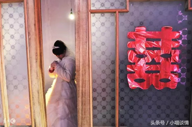 我為男友傾盡所有,他轉頭娶了老闆女兒,我送他場終生難忘的婚禮