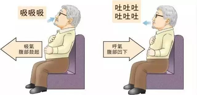 大大的肚子有超多脂肪?4招讓你減少「內臟脂肪含量」,恢復苗條身材