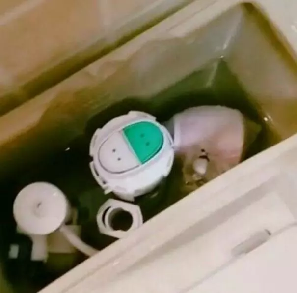 流產後,妻子總說廁所有抽泣聲,罵她神經,打開抽水箱,俺蒙啦