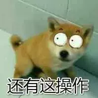 這些常見的東西竟給狗狗帶來這麼大傷害