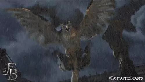 《神奇動物2》上映在即,這7種真實存在的神奇動物先了解一下