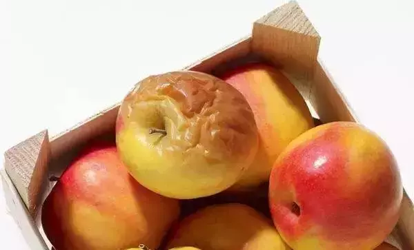 水果爛了一點還能吃嗎?這些小知識每個人都該知道!