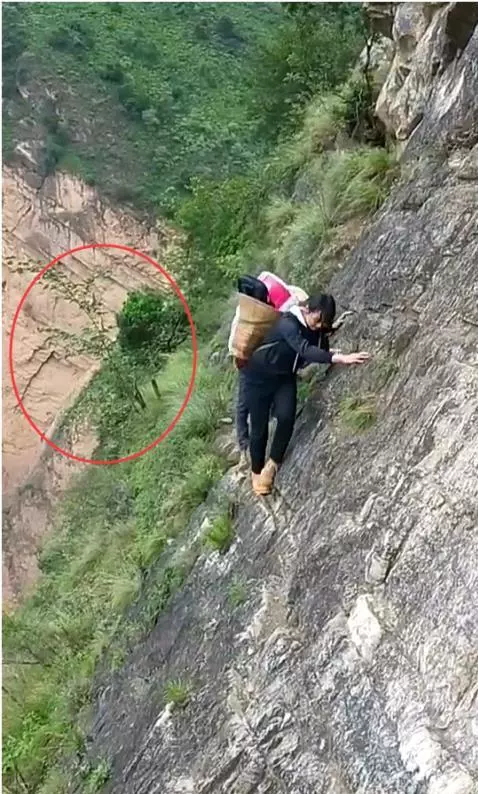 世界上最小的路,夫妻懸崖峭壁行走自如,網友:仔細看那棵樹!