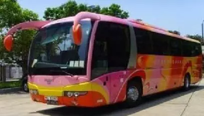 阿嬤坐巴士回家,走到半路忽然非要趕司機下車,僵持不下報警,才知阿嬤救了一車人!