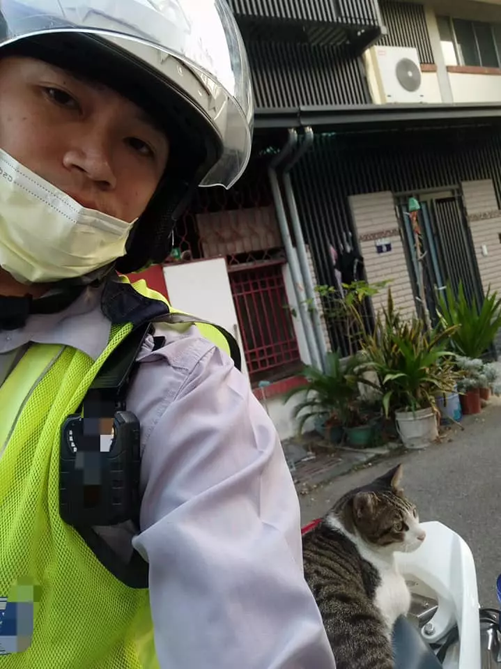 後座「被自來貓霸佔」好崩潰...警察叔叔也沒轍:怎麼辦~牠還打哈欠!