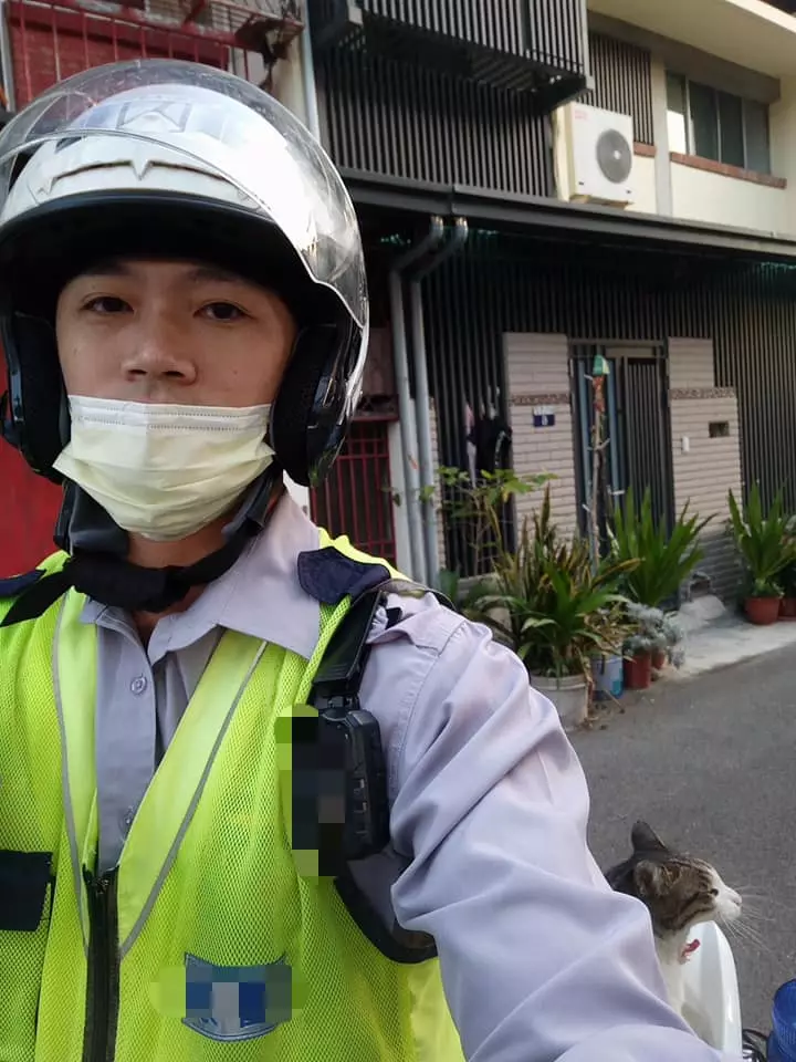 後座「被自來貓霸佔」好崩潰...警察叔叔也沒轍:怎麼辦~牠還打哈欠!