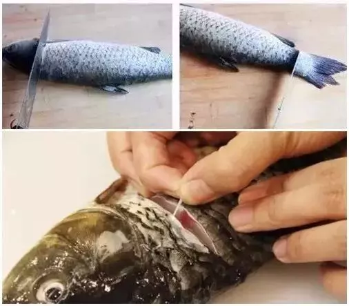 燉魚湯總有一股土腥味?只需這一招,腥味輕鬆去除!