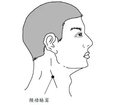 1處「奪命穴」,按錯要人命!5大「長壽穴」,常按不生病