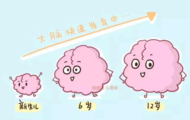 讓孩子堅持運動,他們的大腦會發生驚人的變化!