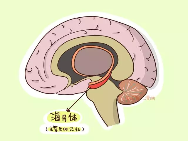 讓孩子堅持運動,他們的大腦會發生驚人的變化!