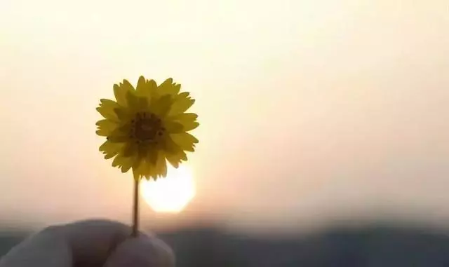 人,不能讓心情生病(深度好文)正能量