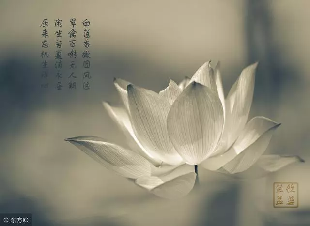 20個禪意小故事,很短卻很真,看完受益一生