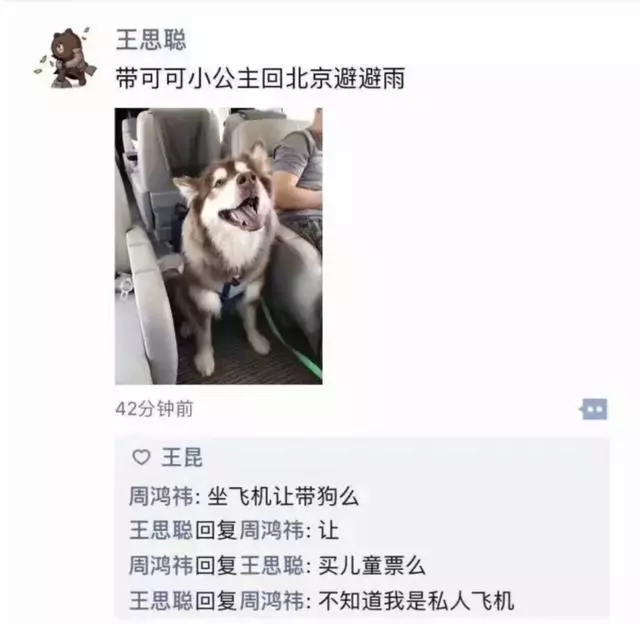 你永遠不知道有錢人會怎麼養狗