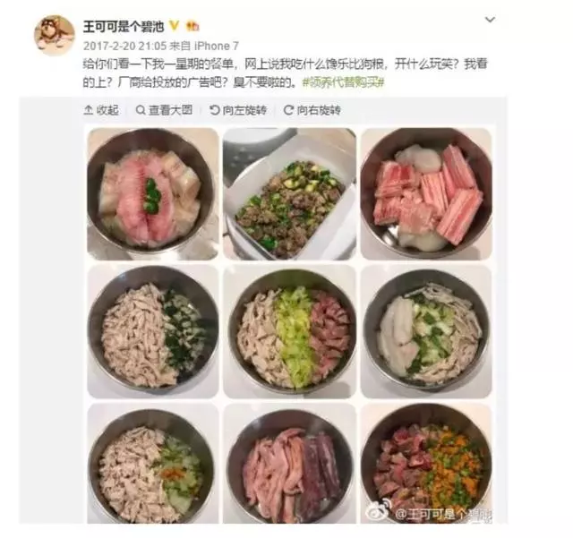 你永遠不知道有錢人會怎麼養狗