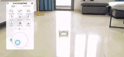 你永遠不知道有錢人會怎麼養狗