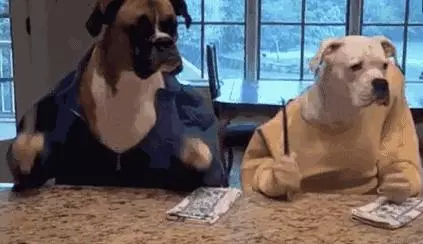 教你看懂狗狗糧上的營養表
