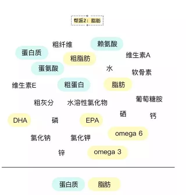 教你看懂狗狗糧上的營養表