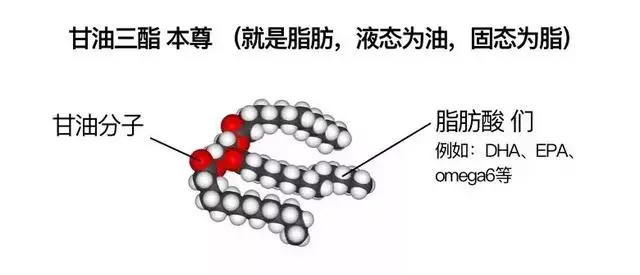 教你看懂狗狗糧上的營養表