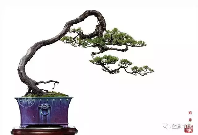 學會拐彎是一種大智慧