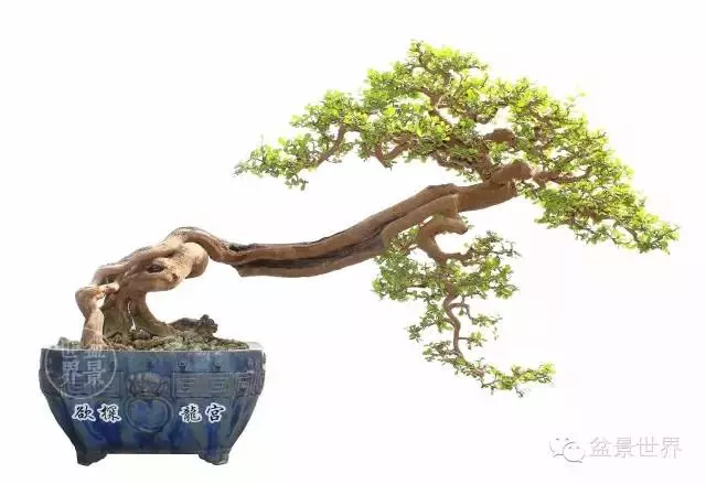 學會拐彎是一種大智慧