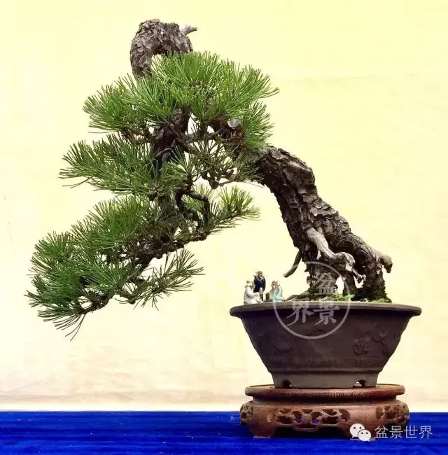 學會拐彎是一種大智慧