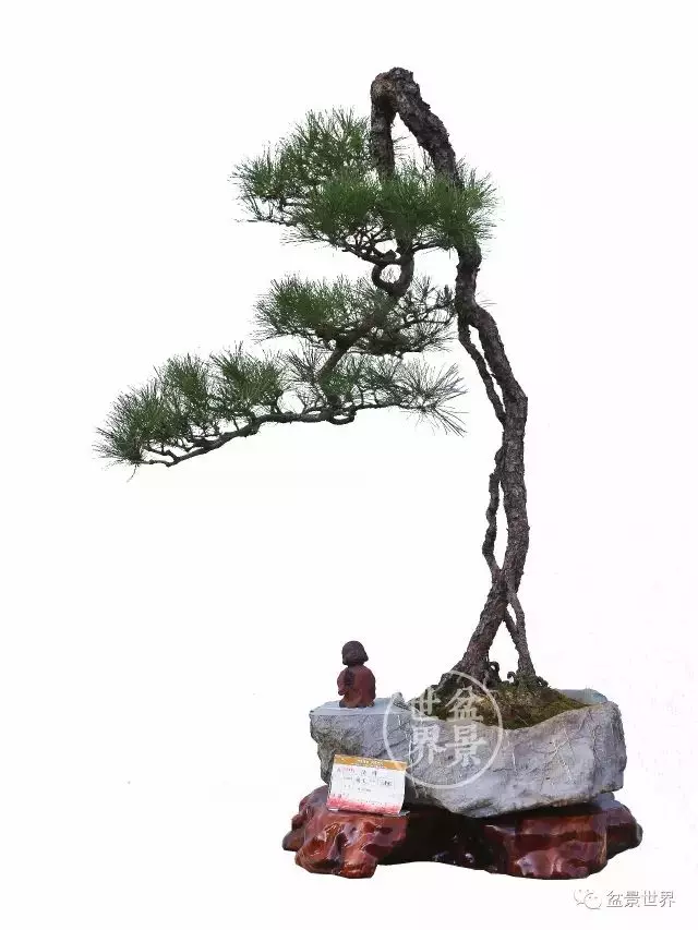 學會拐彎是一種大智慧