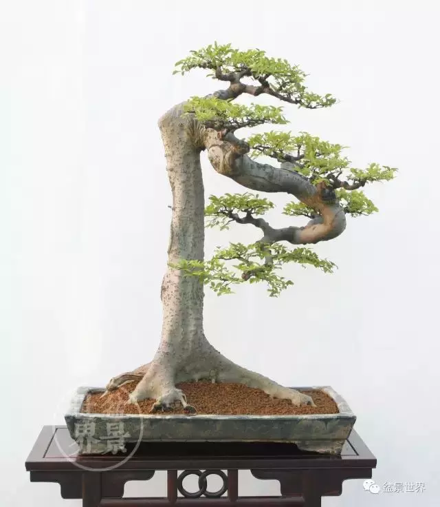 學會拐彎是一種大智慧