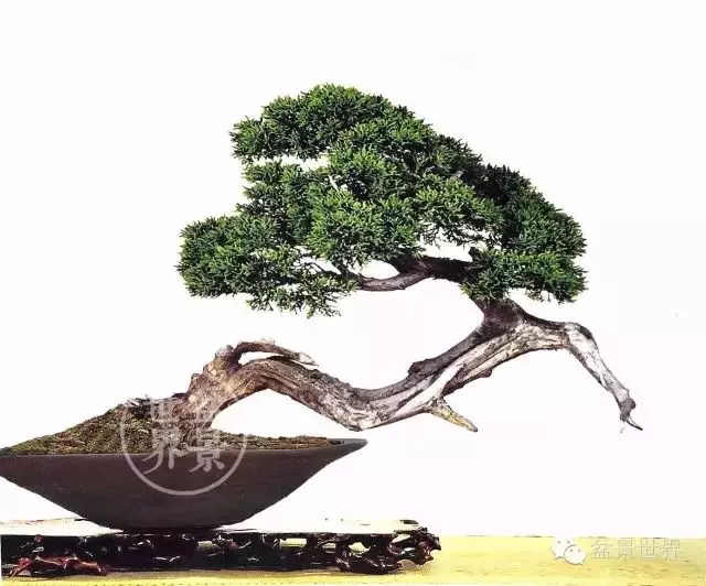 學會拐彎是一種大智慧