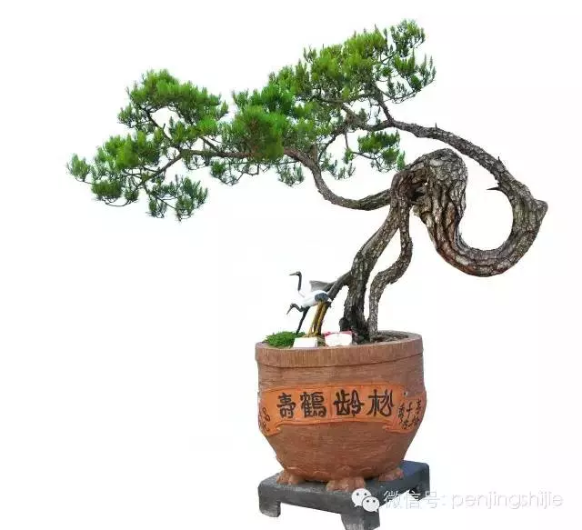學會拐彎是一種大智慧