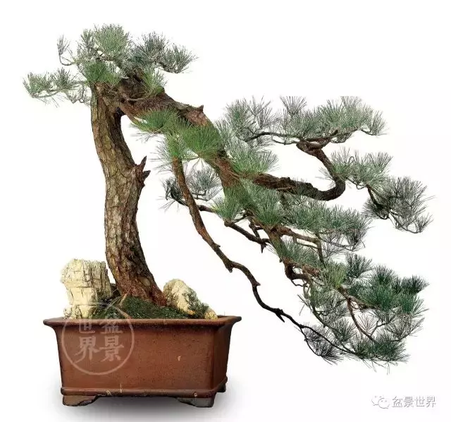 學會拐彎是一種大智慧